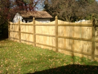 Solid Privacy Fence with Scallop